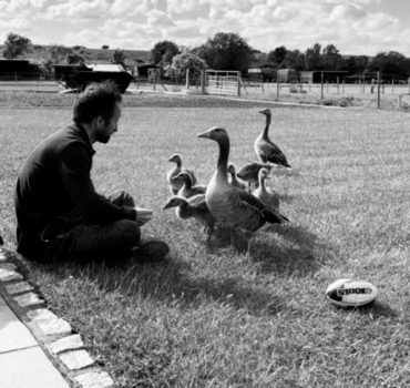 Wildlife (3) Wildlife (3)